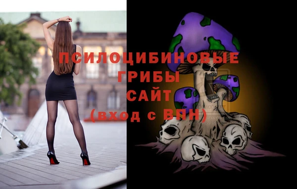 крисы Абдулино