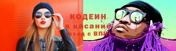 стаф Абаза
